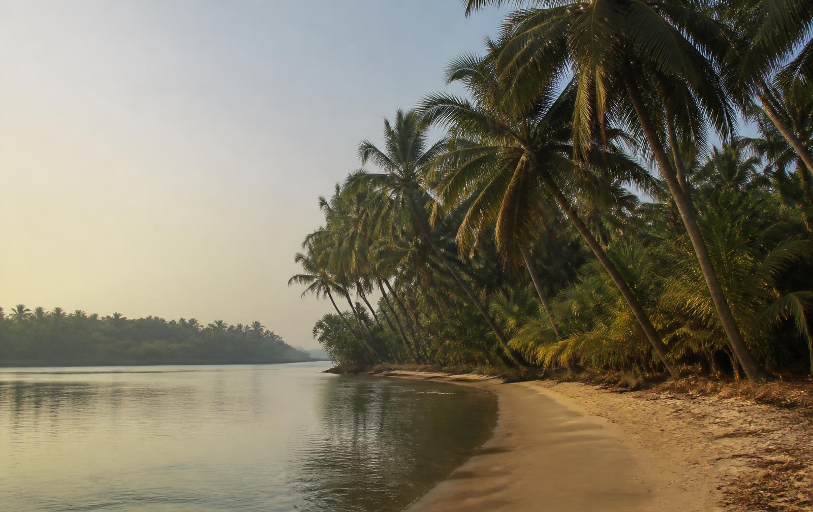 Quiet coastal backwater lined with coconut palms near Udupi, Karnataka