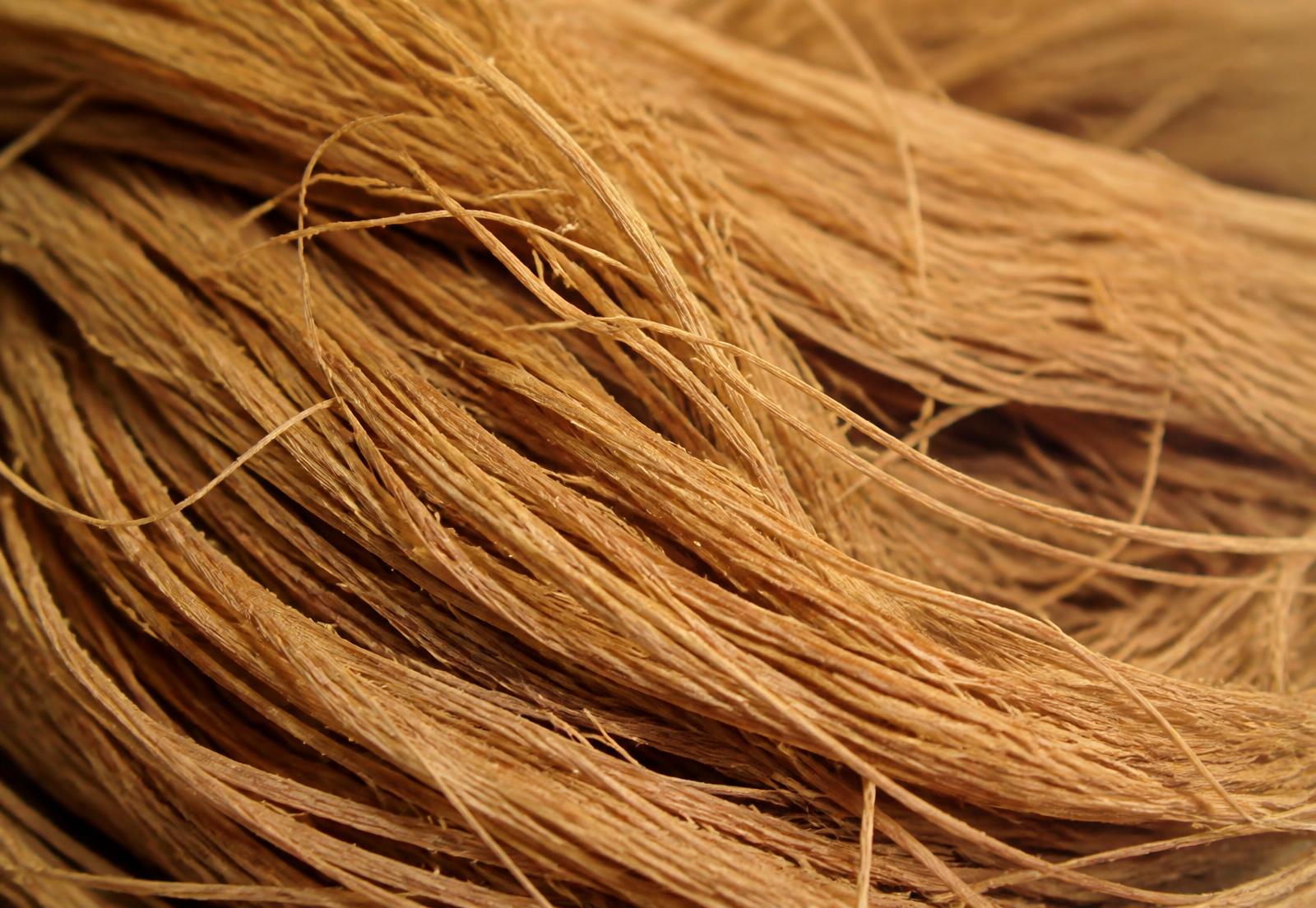 Macro view of golden natural coir fibre strands